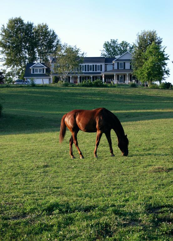 هرشي، بنسيلفانيا The Inn At Westwynd Farm وسائل الراحة الصورة
